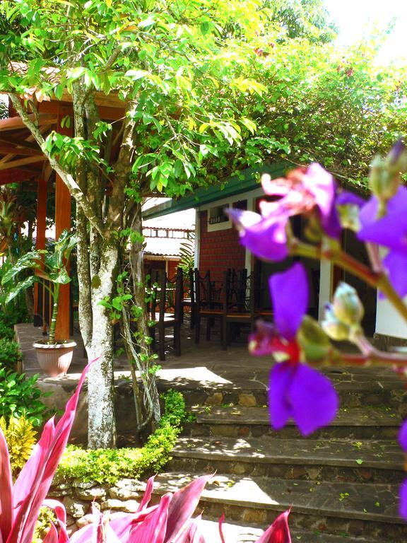 Bubinzana Magical Lodge Tarapoto Ngoại thất bức ảnh